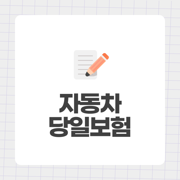 자동차당일보험